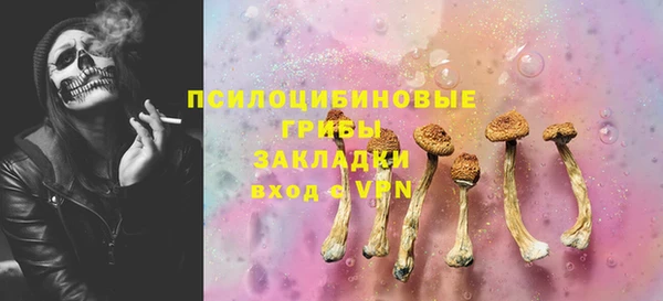 дурь Белоозёрский