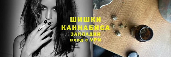 ГАЛЛЮЦИНОГЕННЫЕ ГРИБЫ Беломорск