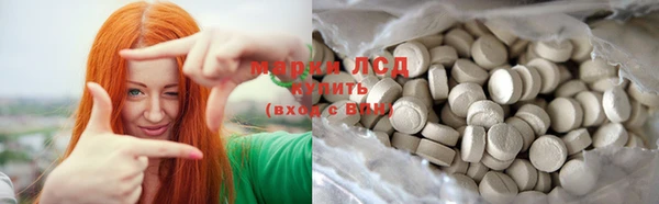 прущие грибы Сосновый Бор