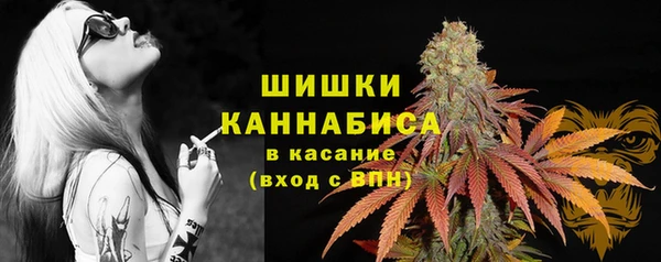 дурь Белоозёрский