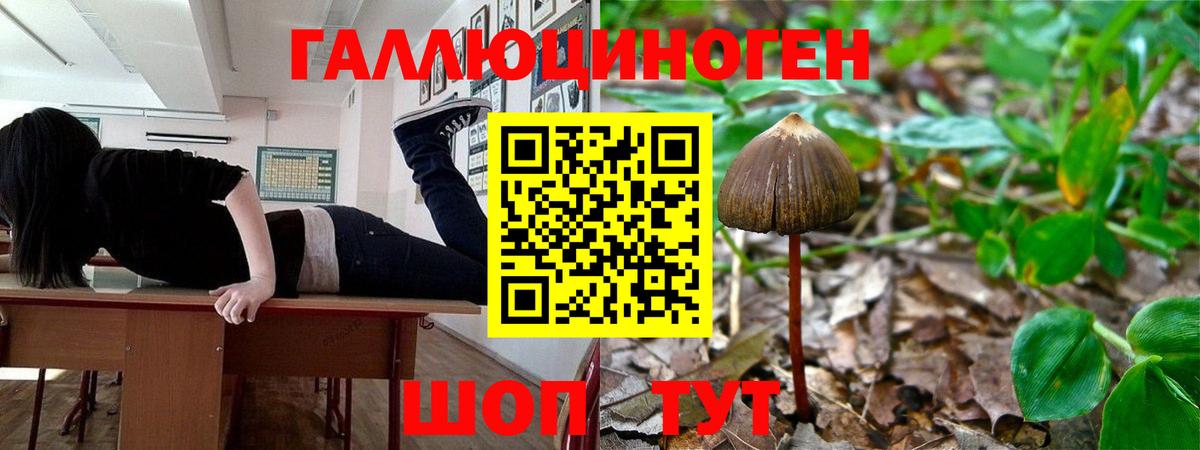 Галлюциногенные грибы Magic Shrooms Вязники